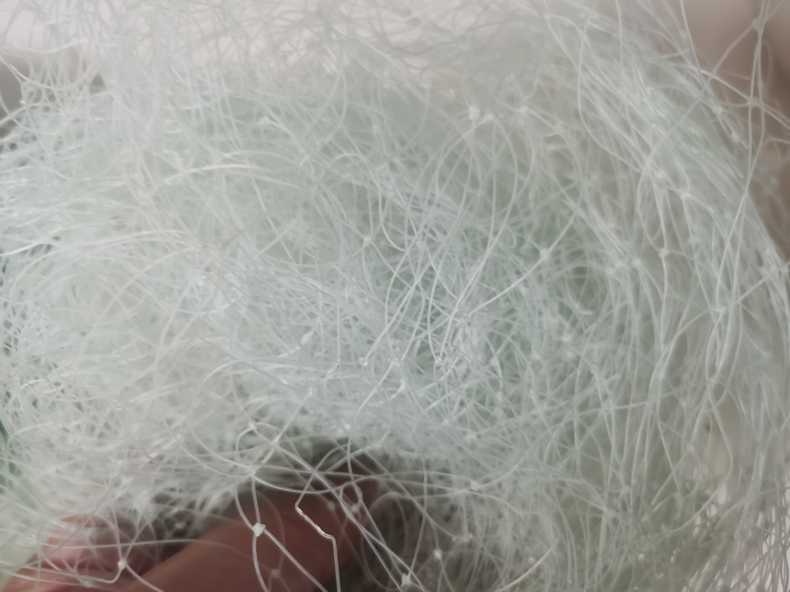 微信图片_20250506183034