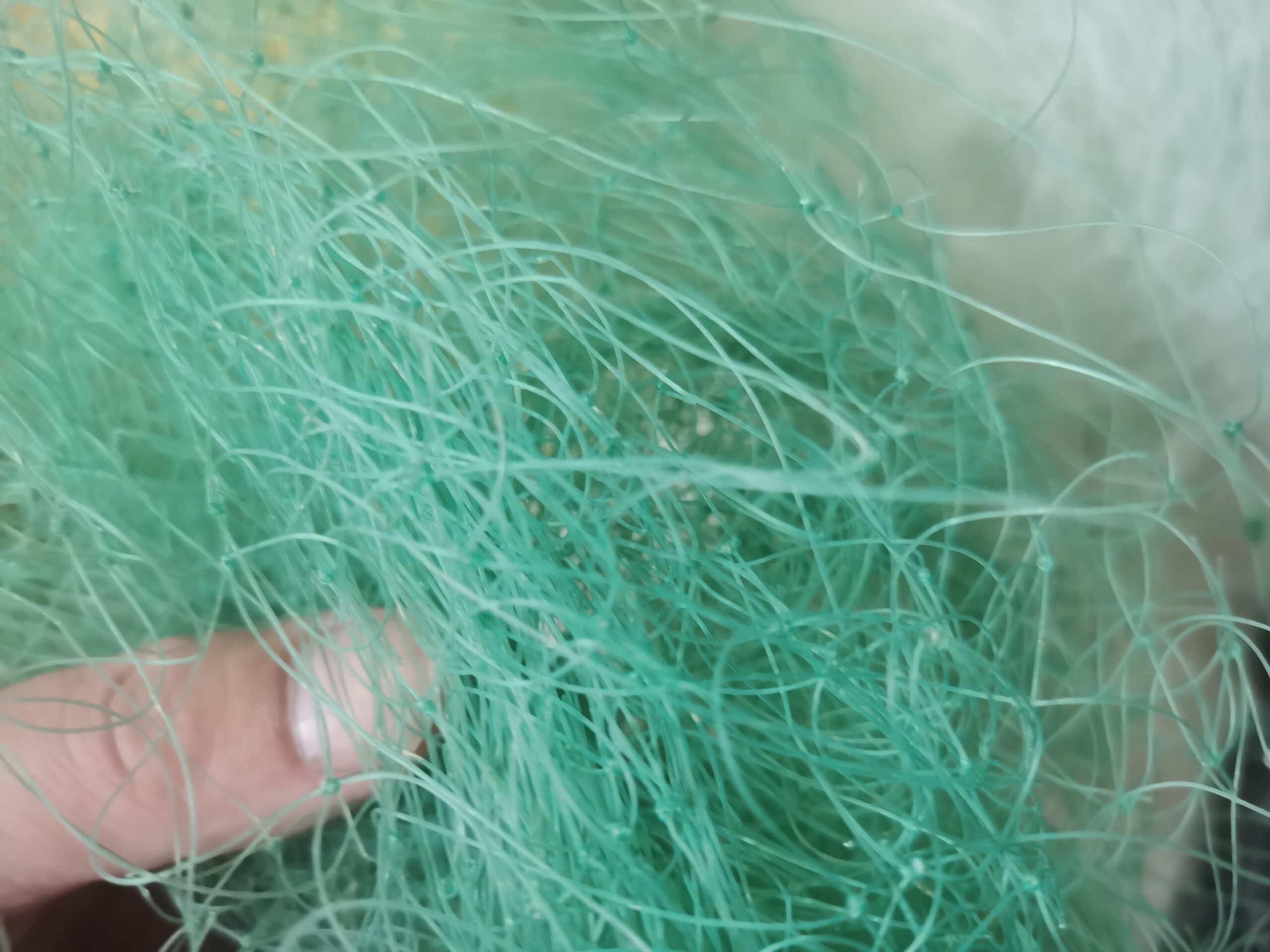 微信图片_20250506183039