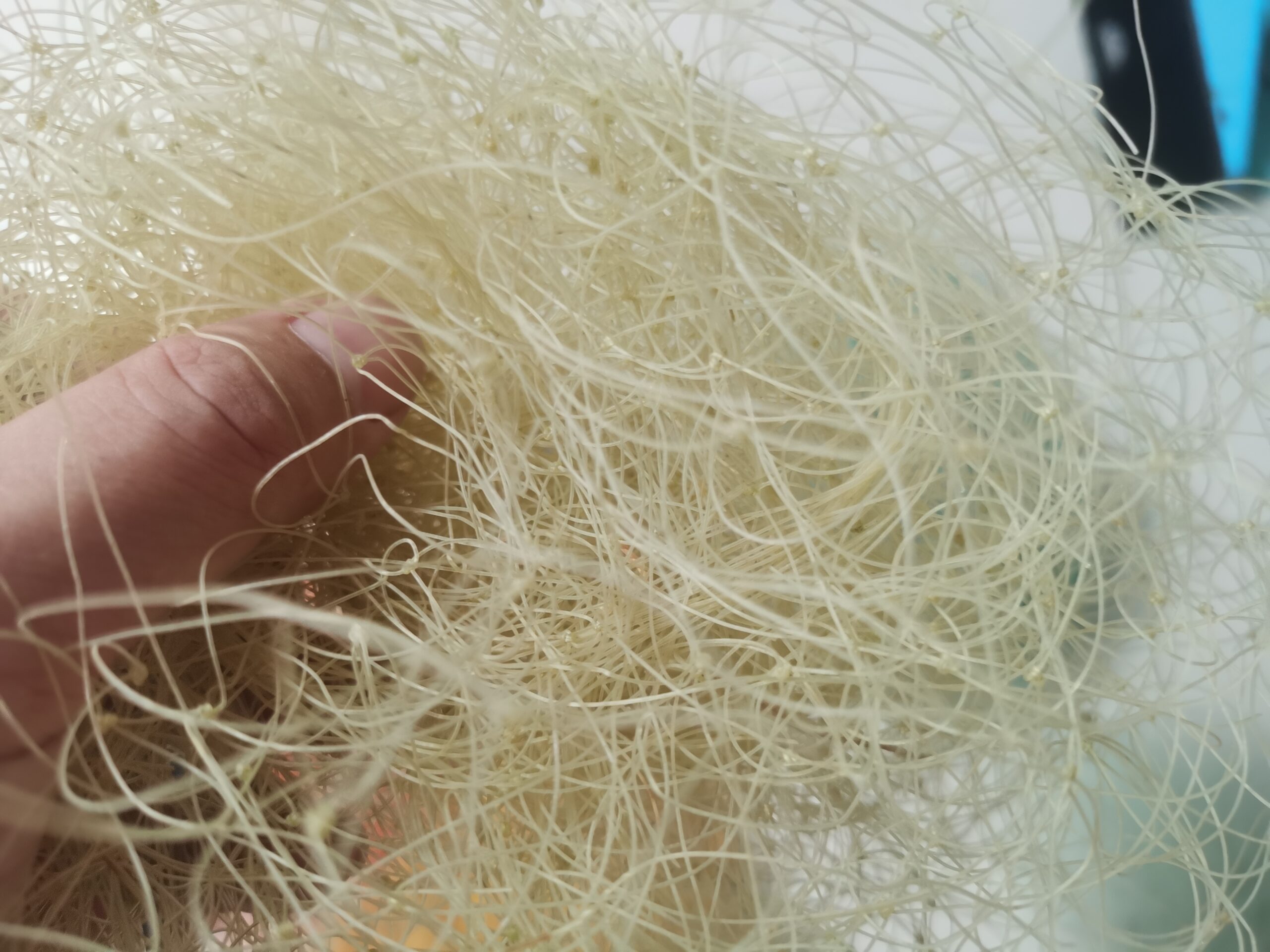 微信图片_20250506183044